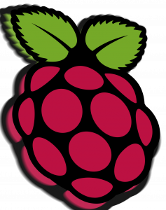 Raspberry Pi Speed